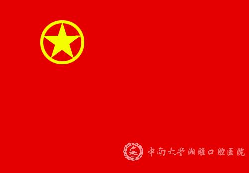 中国共产主义青年团团旗-中南大学湘雅口腔医